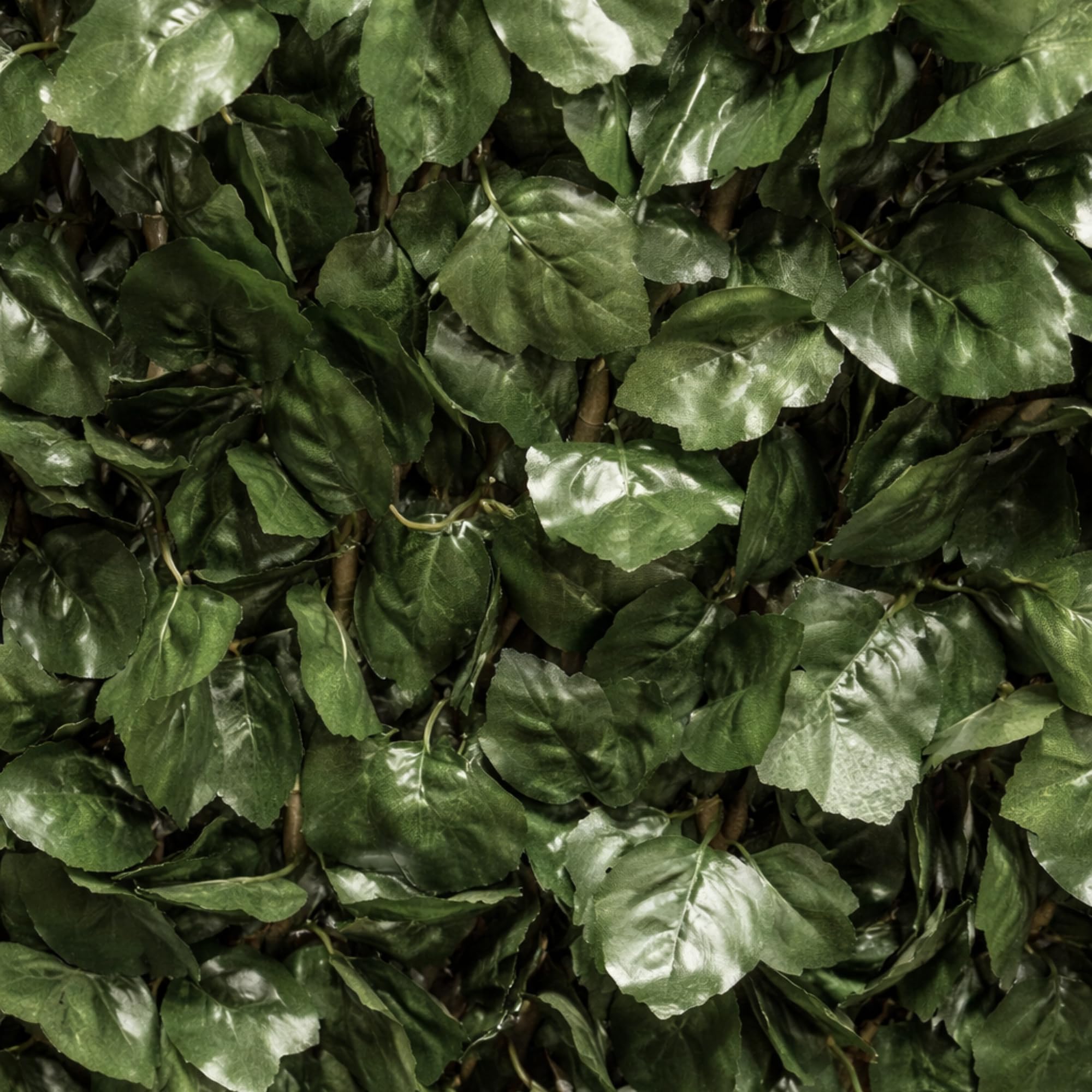 HAVENURA Artificial Maple Leaf Willow Extendable Trellis Plastic Hedge Garden Fence Screening Privacy. (Dark Green, 100x200cm) (Maple Leaf (1 Pack)) - 4