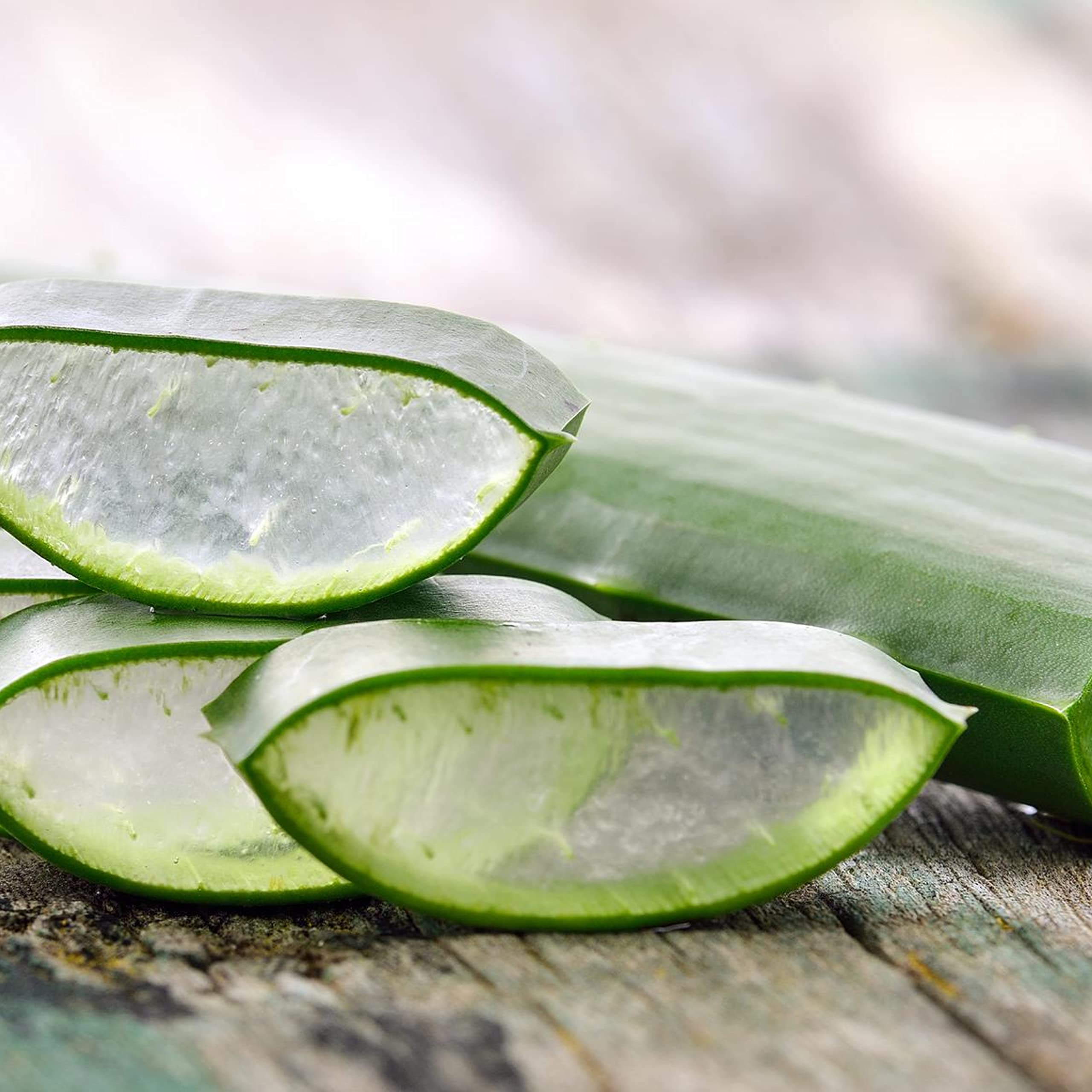 Martina Gebhardt ALOE VERA Face Lotion (100ml)  Bio-Gesichtsmilch fr  trockene & anspruchsvolle Haut  Feuchtigkeitscreme Gesicht  Naturkosmetik  (Vegan) : Amazon.de: Kosmetik