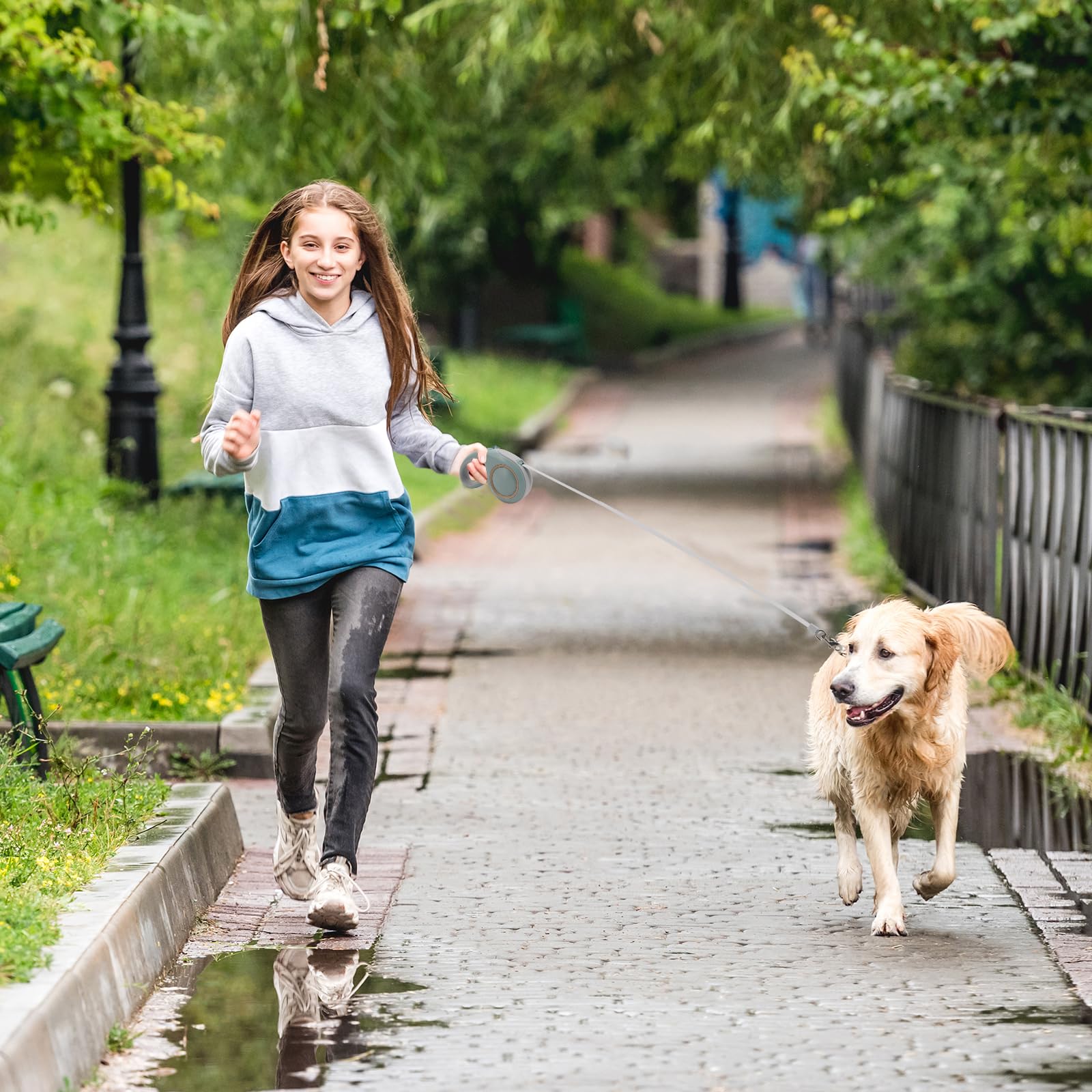 Leine Hund Ausziehbar, Weich Leine, Schleppleine für Kleine mit Pausensperre, Einhandbremse, Pause, Sperre, 5M (Grau)
