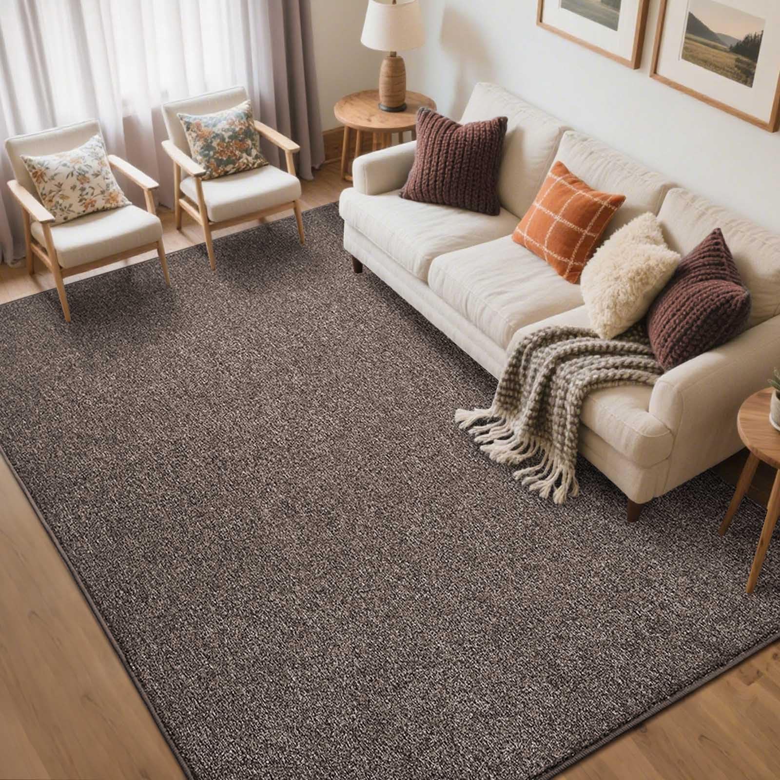 Photo 1 of FinRe?c Low Pile 5x7 Washable Area Rugs for Bedroom Living Room, Thin Rug Solid Color, Non-Slip Carpet Indoor for Home Decor (Brown/White)