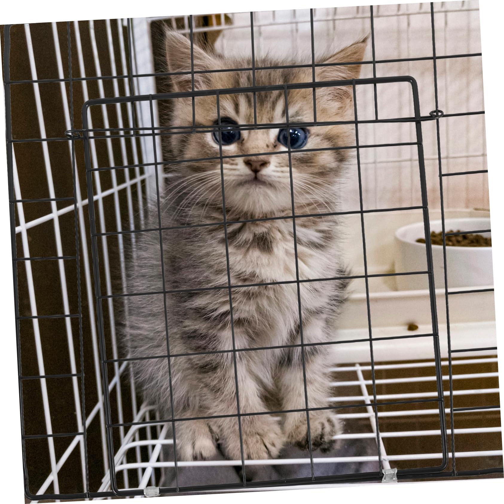 Puerta de Valla para Mascotas Engrosada de Hierro Negro, Resistente al Desgaste y Ensamblaje Libre para Jaulas de Gatos y Perros