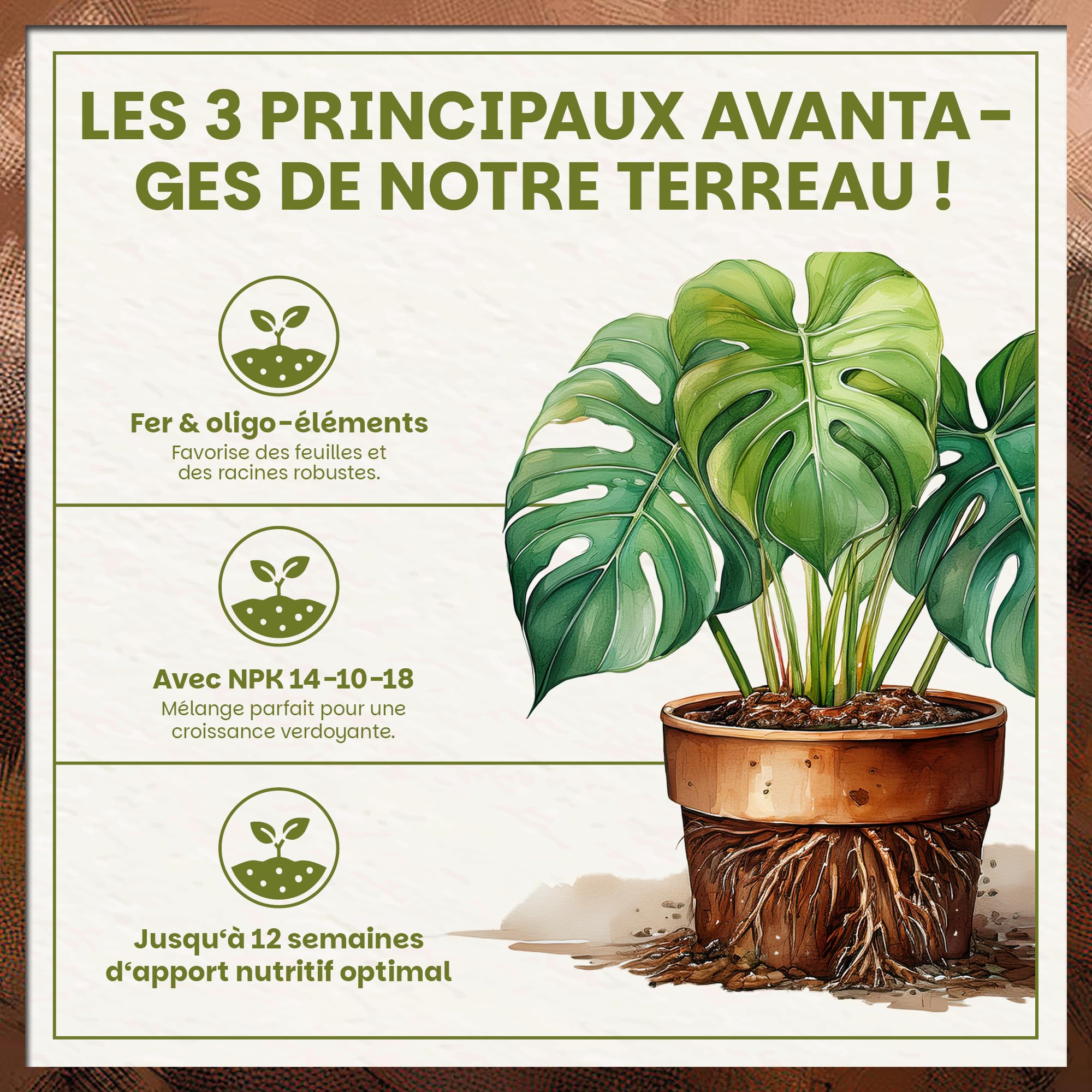 Green Home Terreau Aroid 36L – Substrat spécial Monstera, Philodendron & Plantes Tropicales – Terreau avec Perlite pour Un Drainage Optimal
