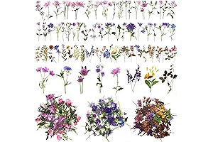 Vintage Flower Stickers: A Floral Paradise for Creative Expressions