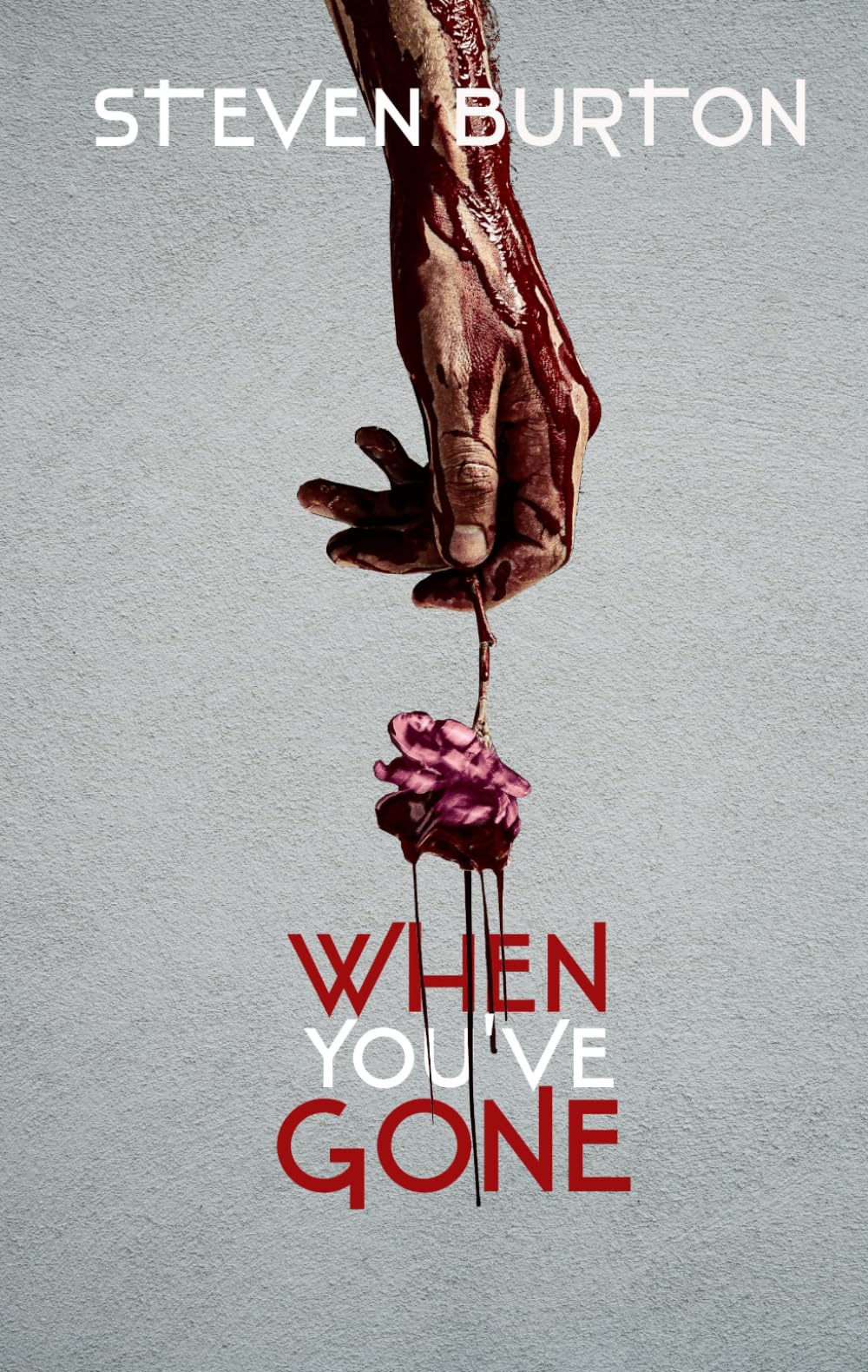 When You’ve Gone (Dead Vision Murders)