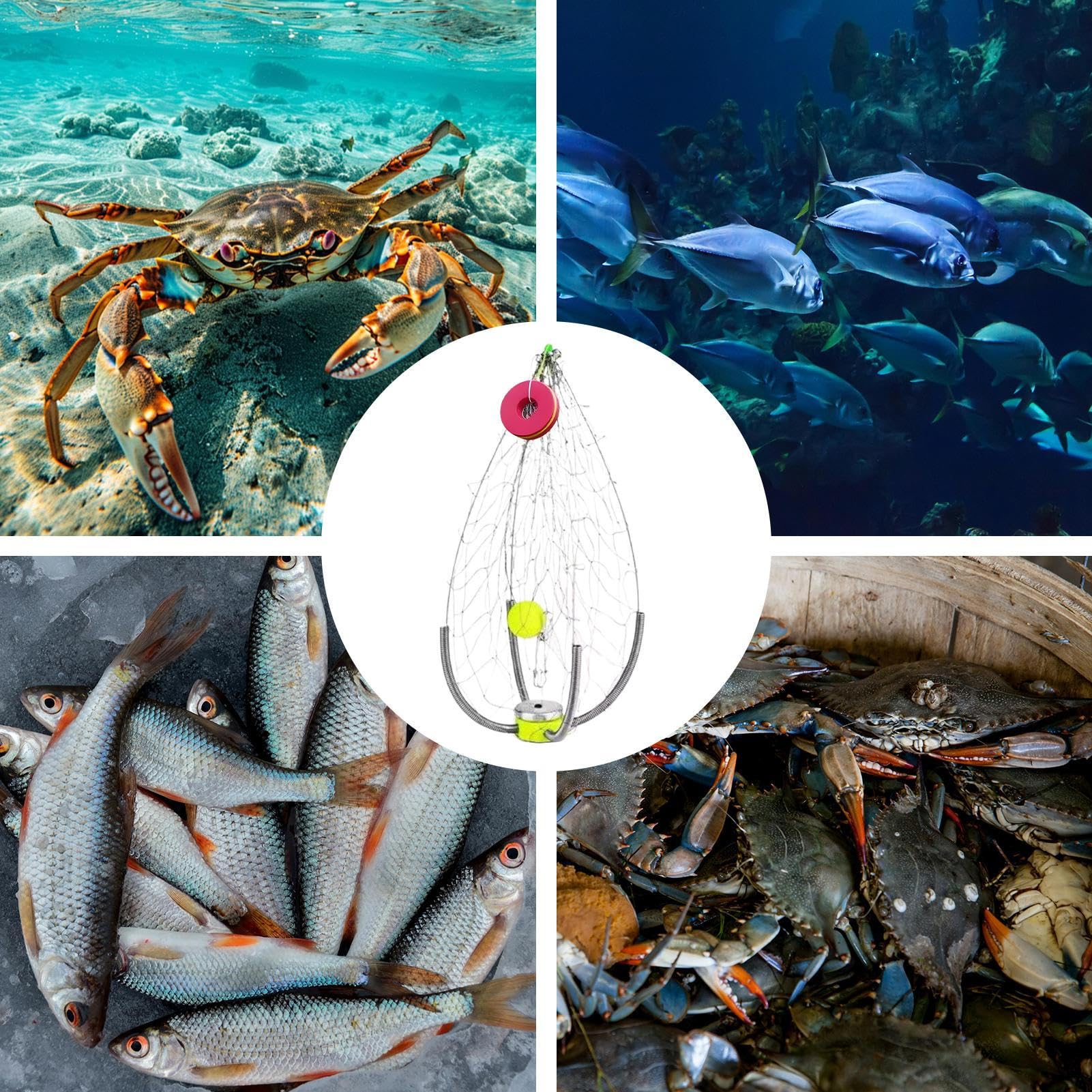 Trappola Granchi | Gabbia da in Acciaio Trappola Ceste per Pesci - Gabbia Pesata Per Gamberi Aragoste Pesciolini Acqua E Salata | Per Kayak Spiaggia Lago Pontile