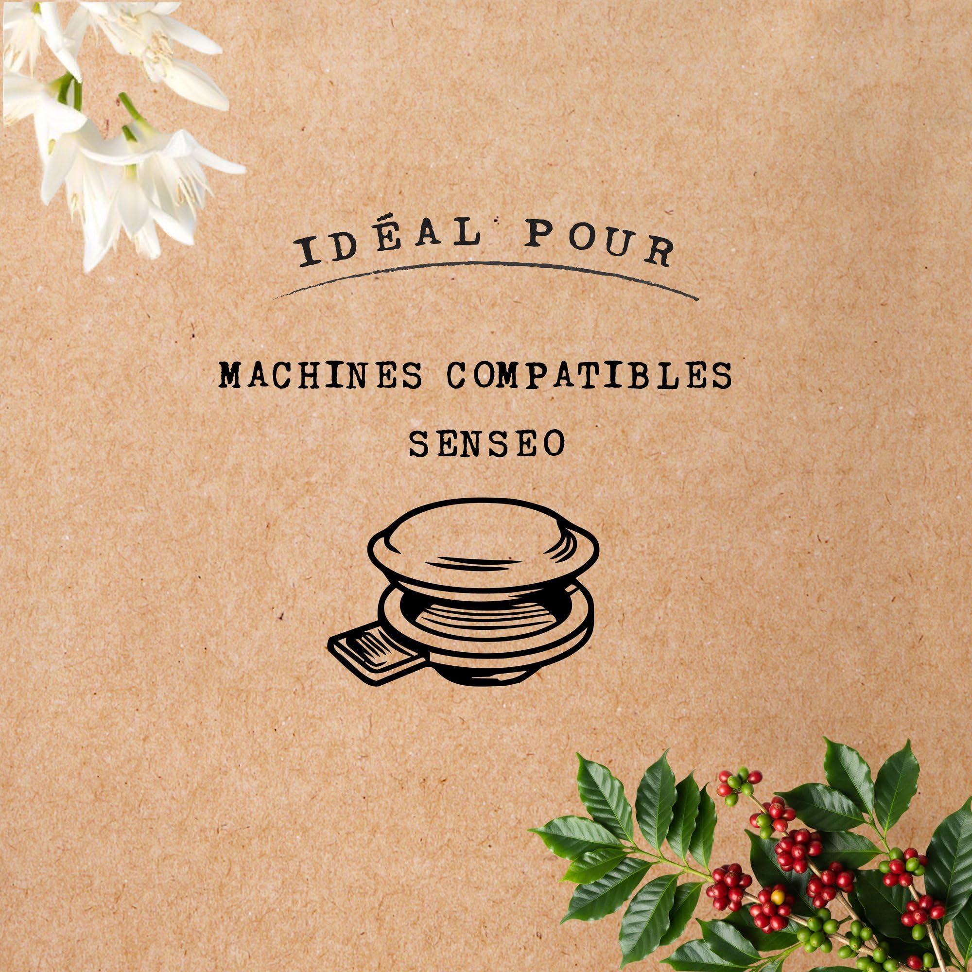 Cafés Méo - Dosettes Café Espresso - 648 Capsules - Compatible avec Senseo - Intensité 9/10 - Arômes Authentiques, Aromatique, Crème Généreuse - Lot de 12x54