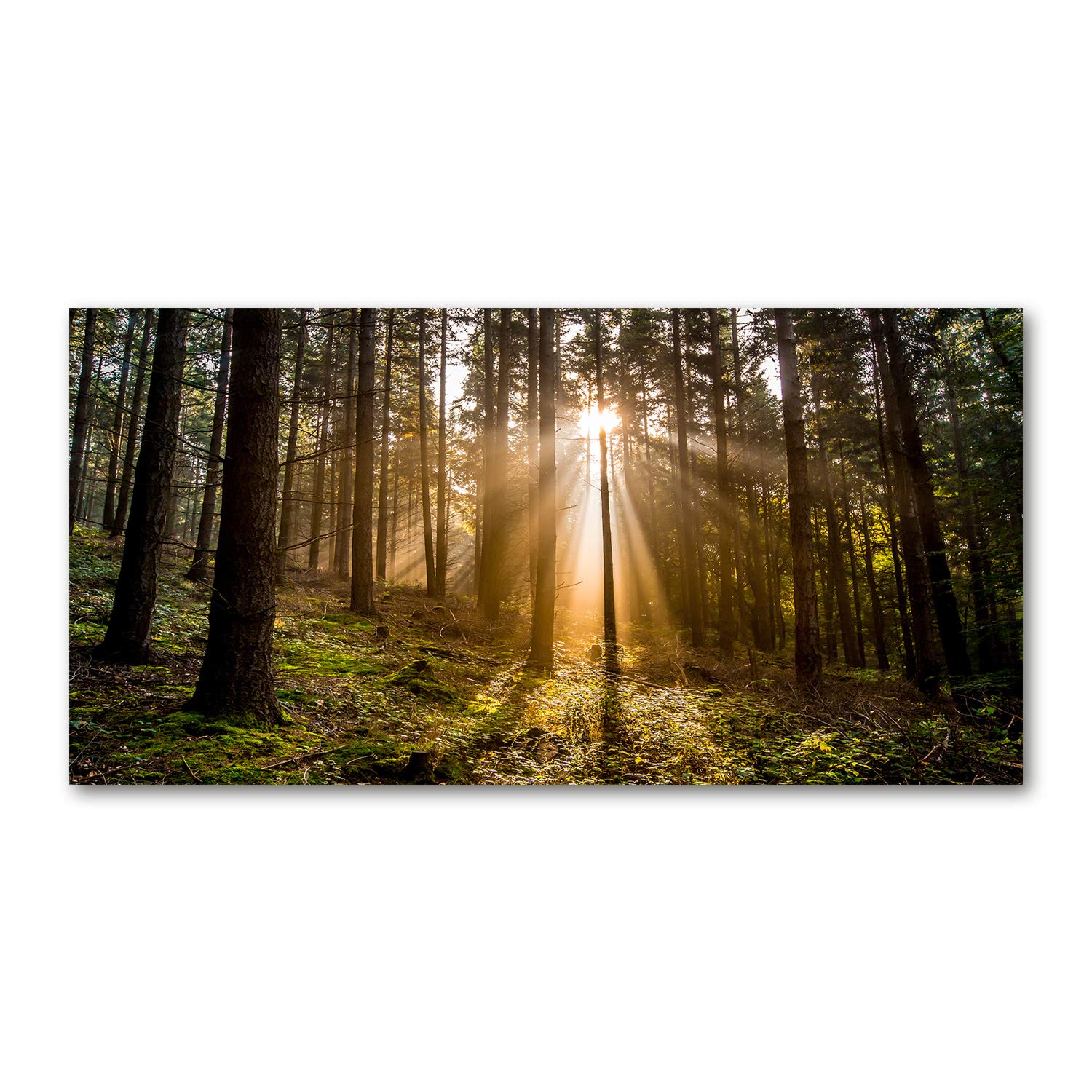 Image plexiglas marron Luz Solar 120x60 cm pour illuminer votre salon chaleureux