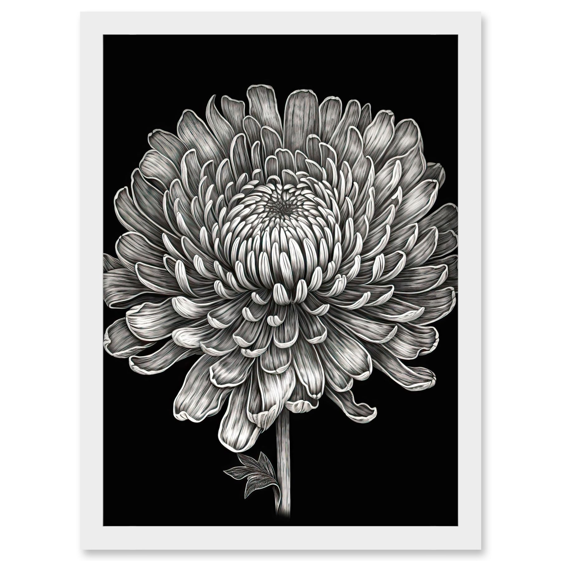 Artery8 Detailed Chrysanthemum Flower Bloom Illustration Artwork Framed A3 Wall Art Print