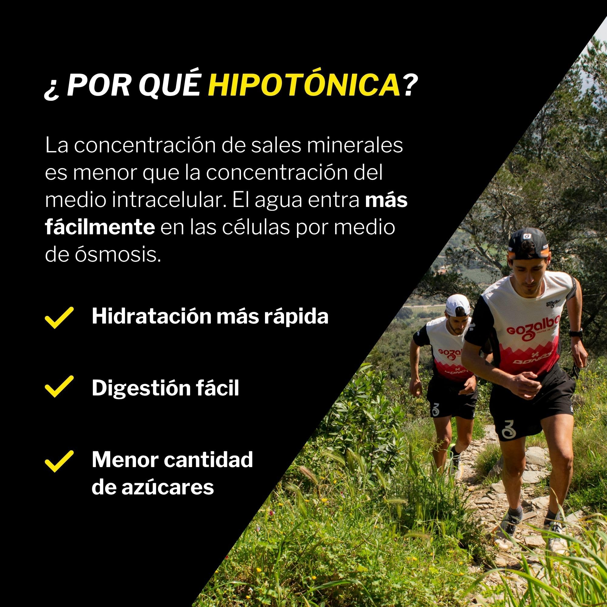 Bebida Hipotónica en Polvo con Electrolitos + Vitamina B1 + Sales Minerales para Deportistas - Hidratación Muscular - Sabor Naranja Sin Gluten Ni Lactosa - Pack 20 Sobre Apto Veganos | RECUPERATION