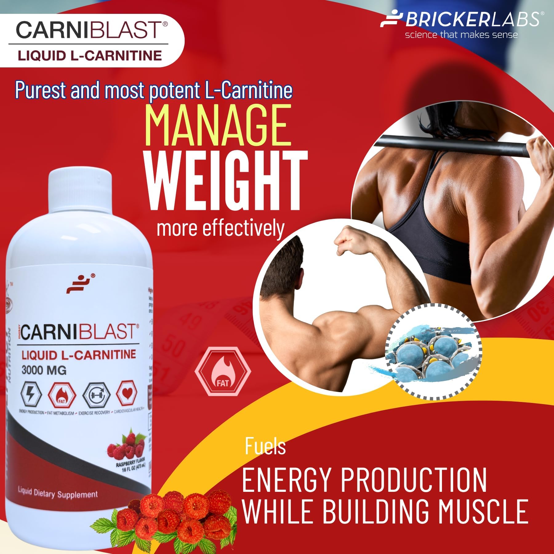 l-carnitine carnipure Amazon.com: Bricker Labs CARNIBLAST Liquid L-Carnitine 3000mg, Premium L Carnitine Carnipure, Energy Nutrition, Energy Supplement and Energy Booster, Raspberry, 16 fl oz : Health & Household