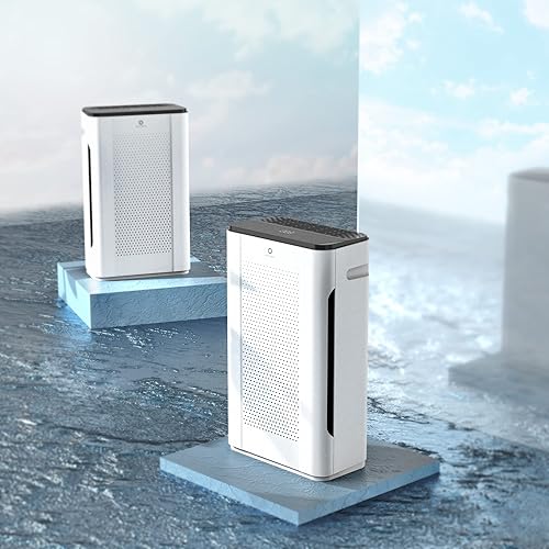 Miniatura 8 de Airthereal Filtro HEPA de repuesto para purificador de aire Pure Morning APH260 (paquete de 2)