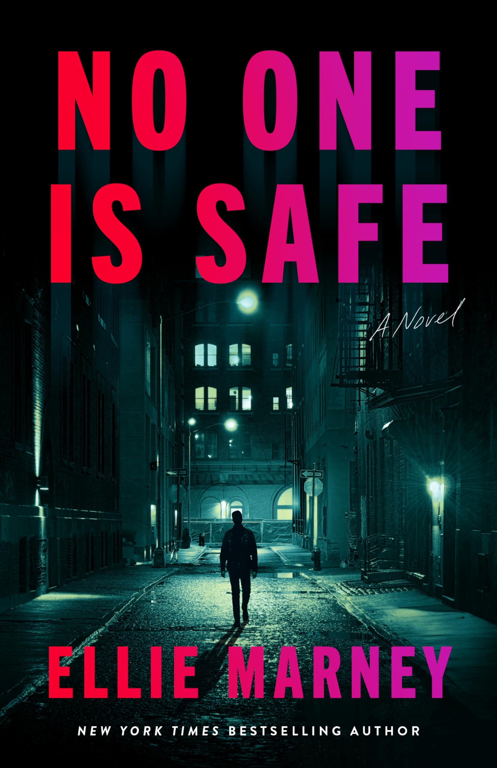 No One Is Safe: A Novel: 1 (Noone Thriller)