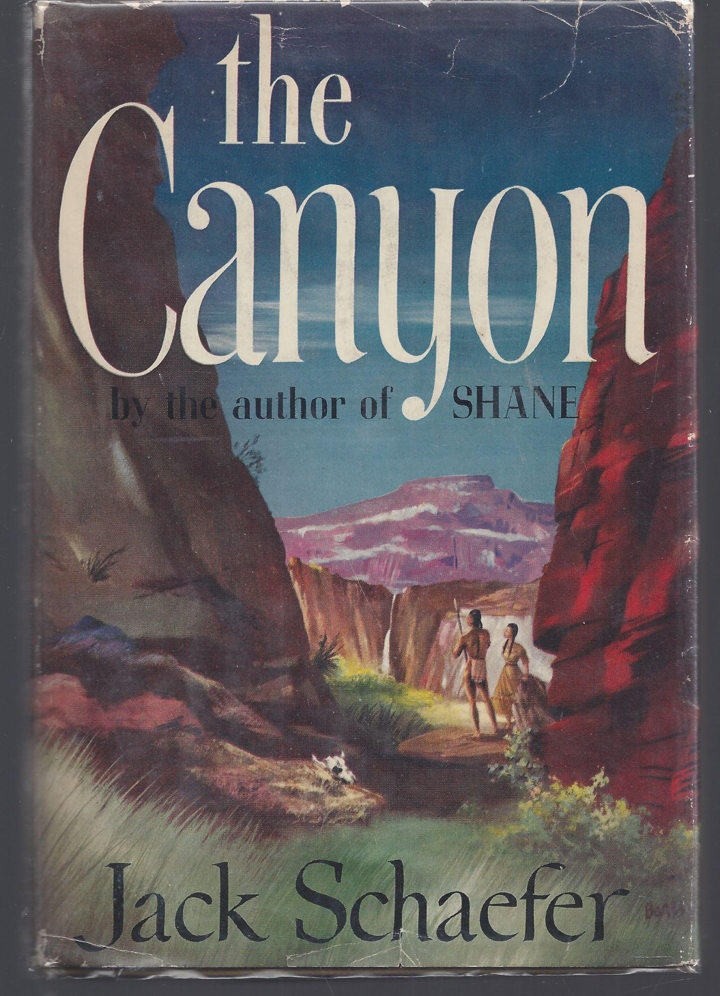 Cover of The Canyon