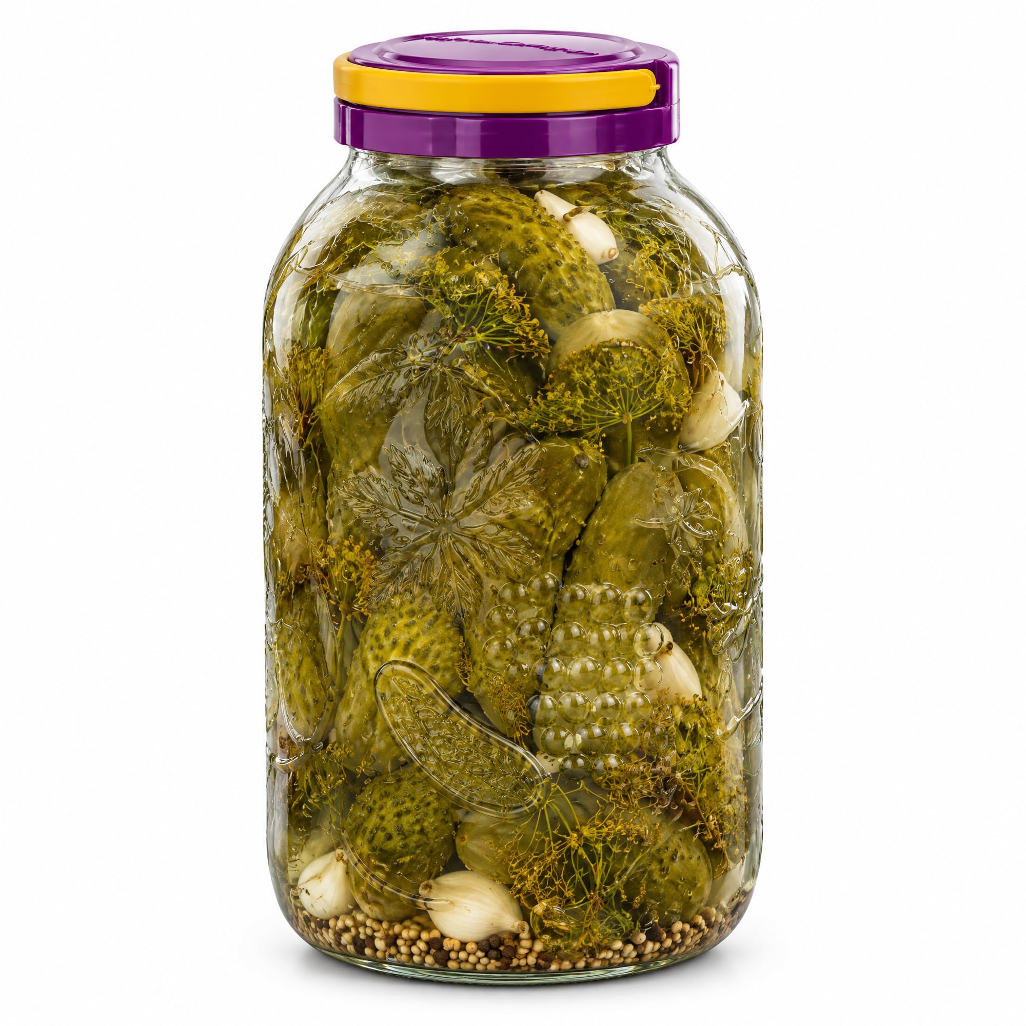 TRANS - PAL 5L Glass Fermentation Jar with Handle and Airtight Plastic Lid