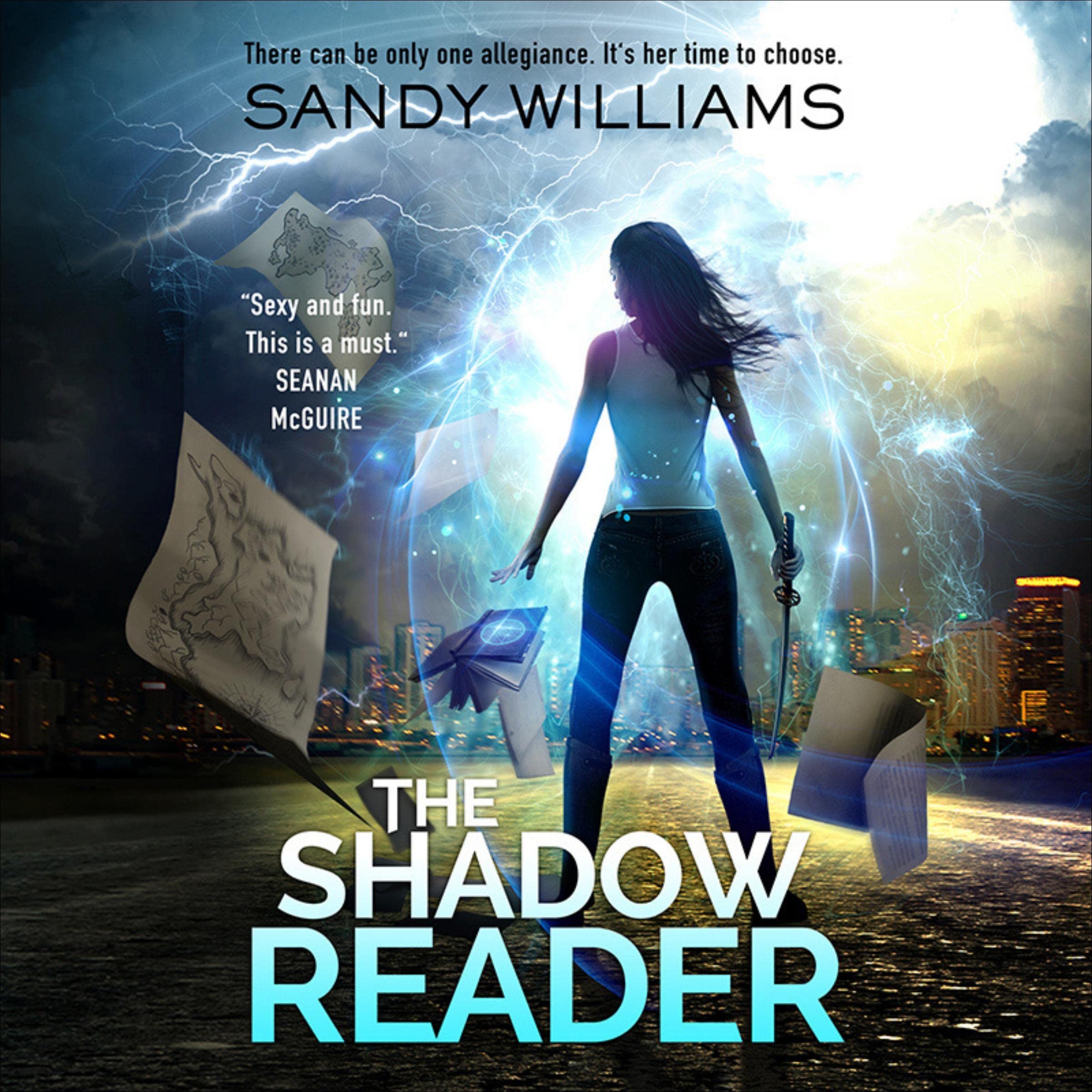 Cover art for The Shadow Reader
