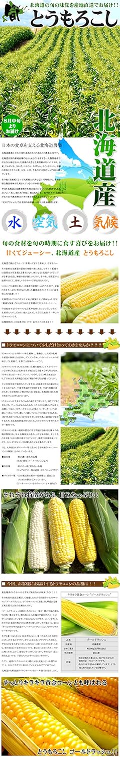 Amazon Co Jp 北海道産 朝採り とうもろこし 選べる10本セット ゴールドラッシュ5本 ホワイトショコラ5本 とうきび ギフト 北海道 お取り寄せグルメ 食品 飲料 お酒