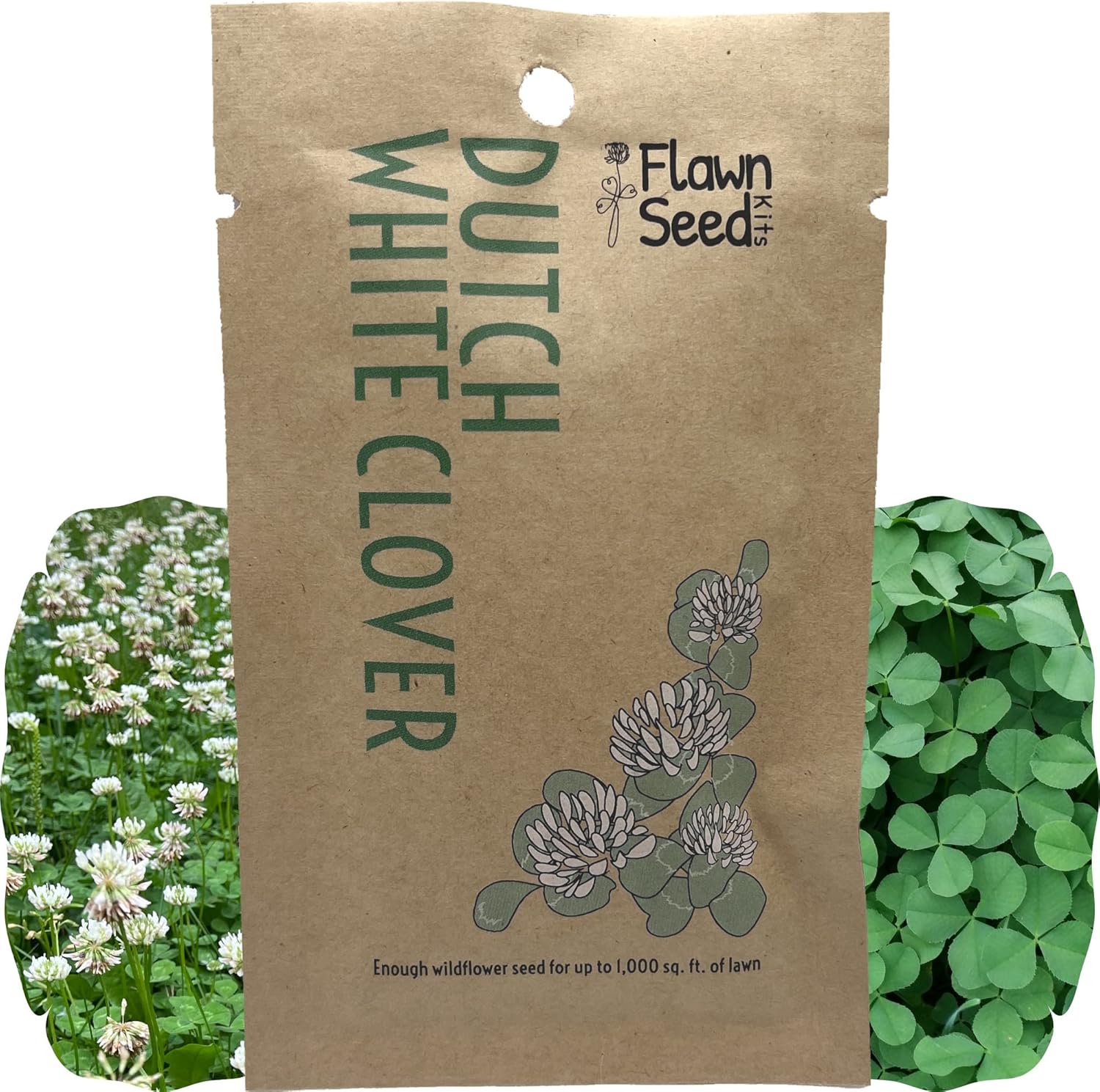Flawn Seed Dutch White Clover Flowering Lawn Seed Over