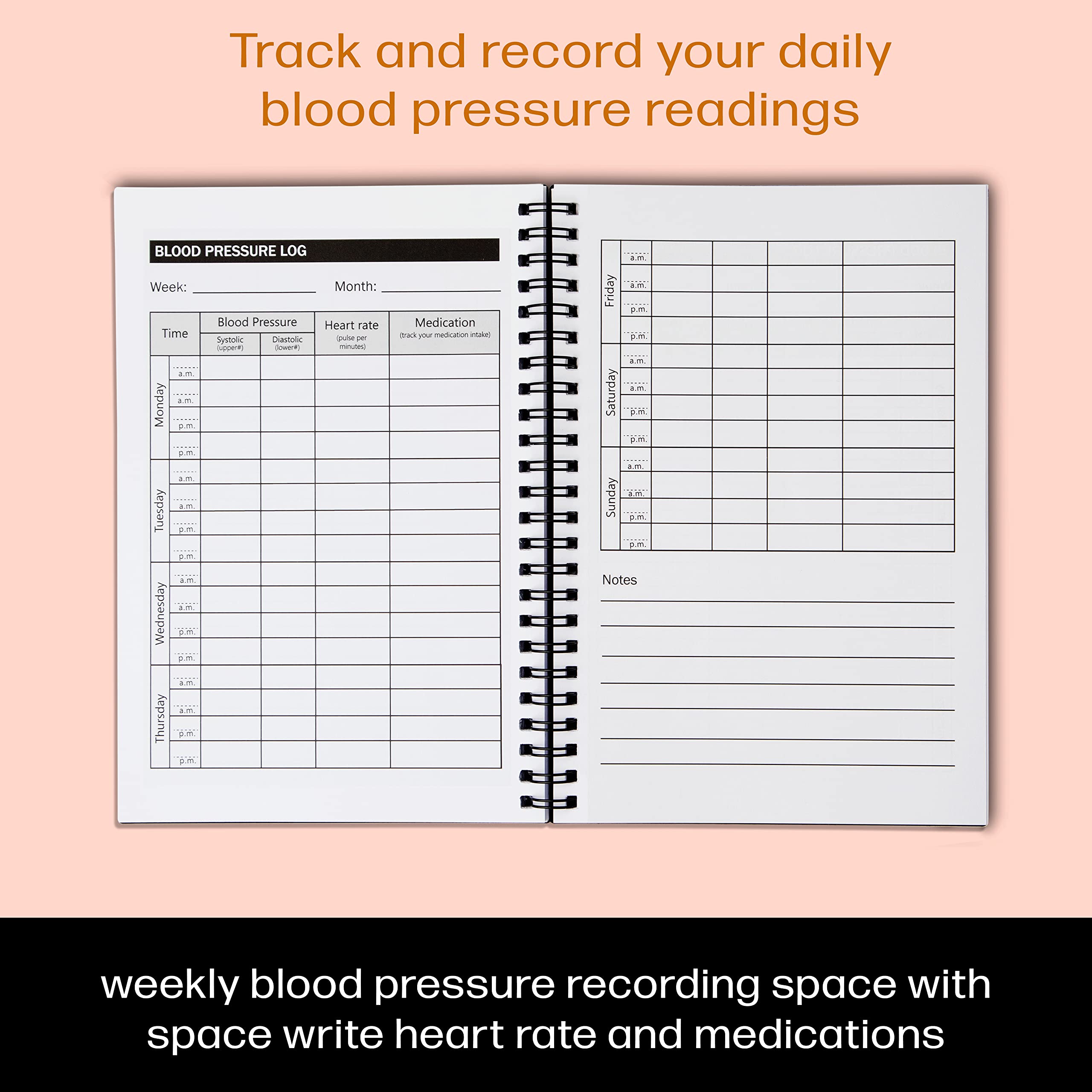 View 2