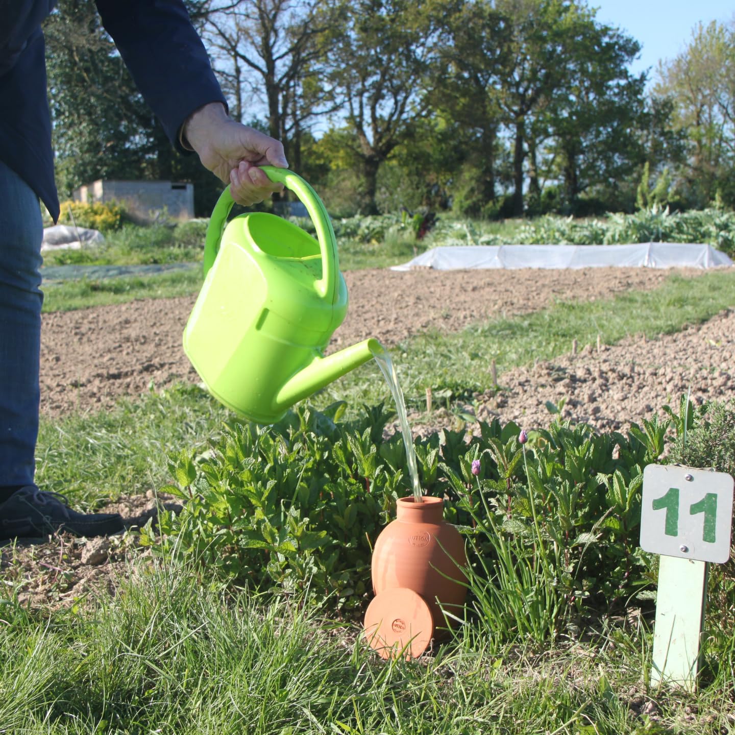 Duo d’Ollas Jardinier Taille L 5 L – Fabrication Française – Arrosage Autonome et Écologique pour Potager et Jardin