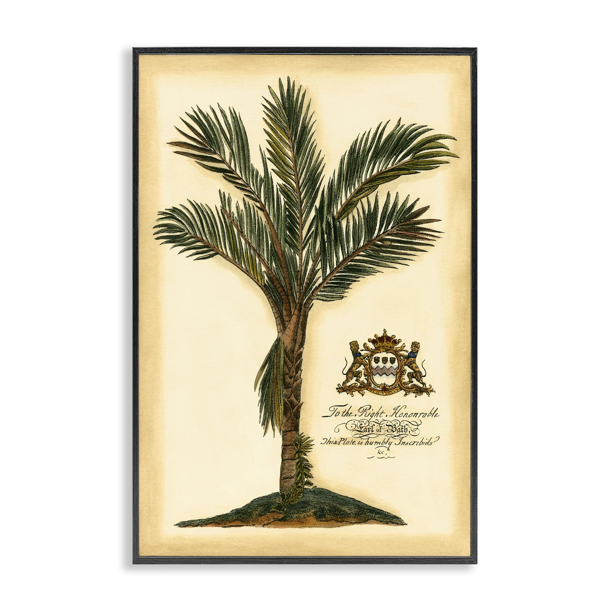 Stupell Industries Midnight Black (Textured) 'Vintage Colonial Palm'| Framed Giclee Art