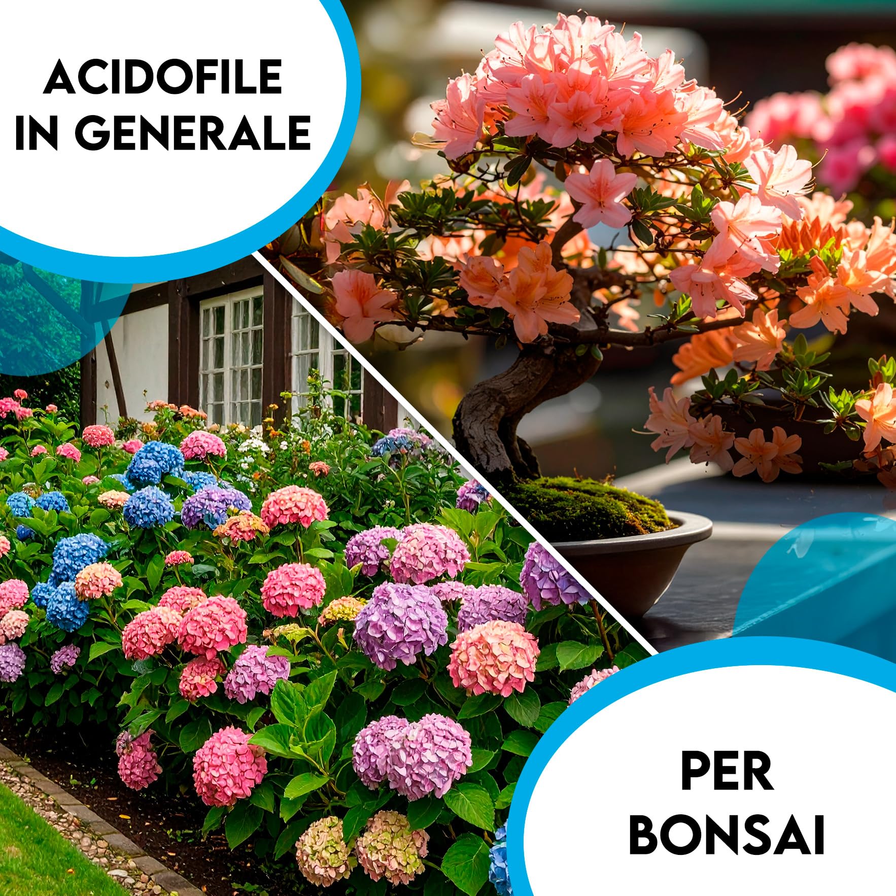 ZOMA Kanuma giapponese professionale qualità hard 2-5 mm, Terriccio per bonsai e acidofile drenante e poroso a ph acido, Terriccio acidofile - 2 litri