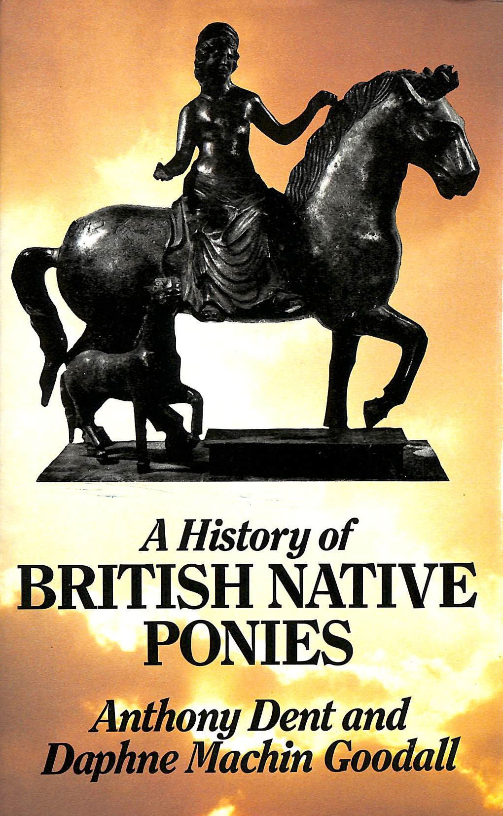 A History of British Ponies (Allen breed series)