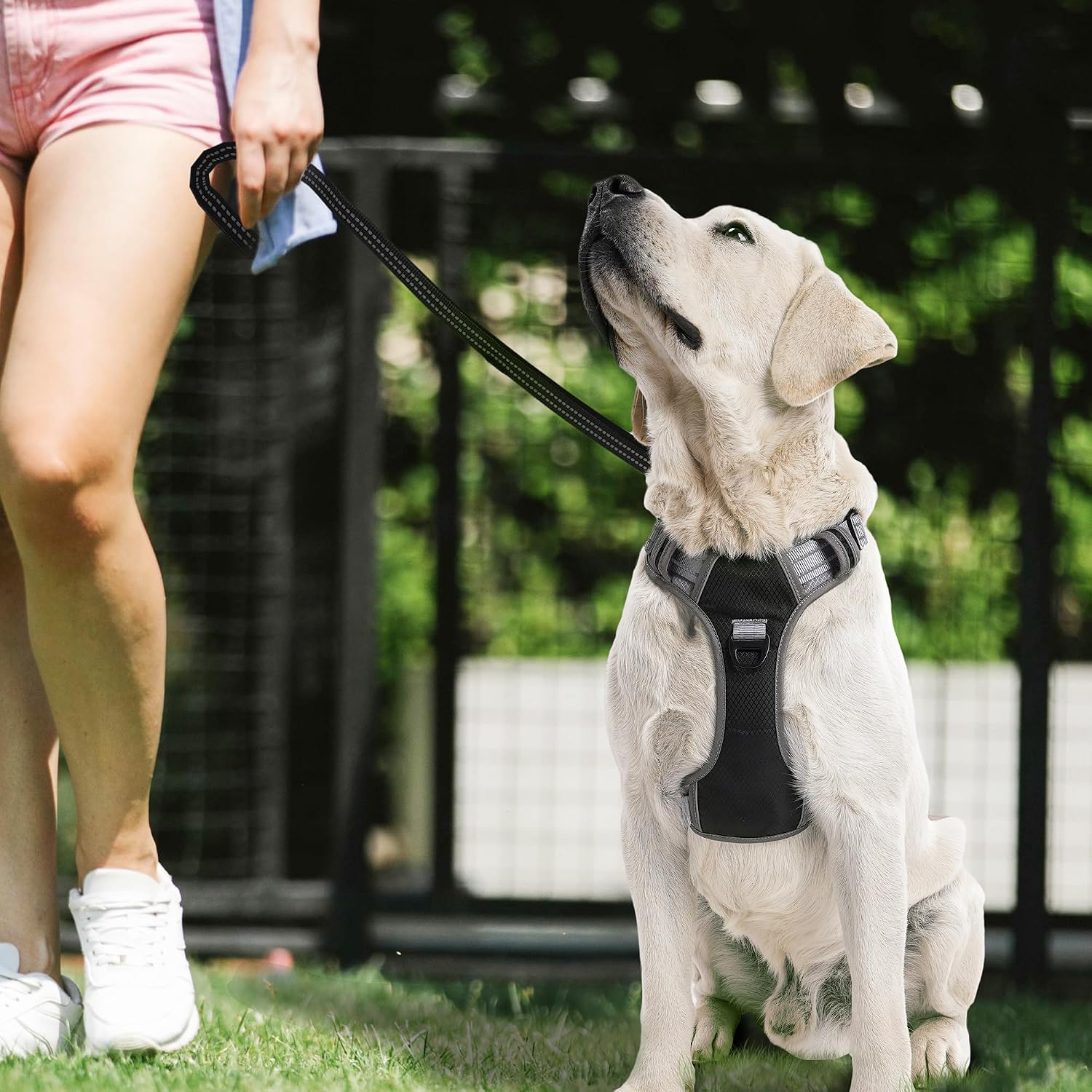 Dog Harness Medium Large Sized Dog Four-Layer Mesh Breathable Reflective Dog Collars, Puppy Harness and Leash Set Training Suit for All Seasons（Black M Size）