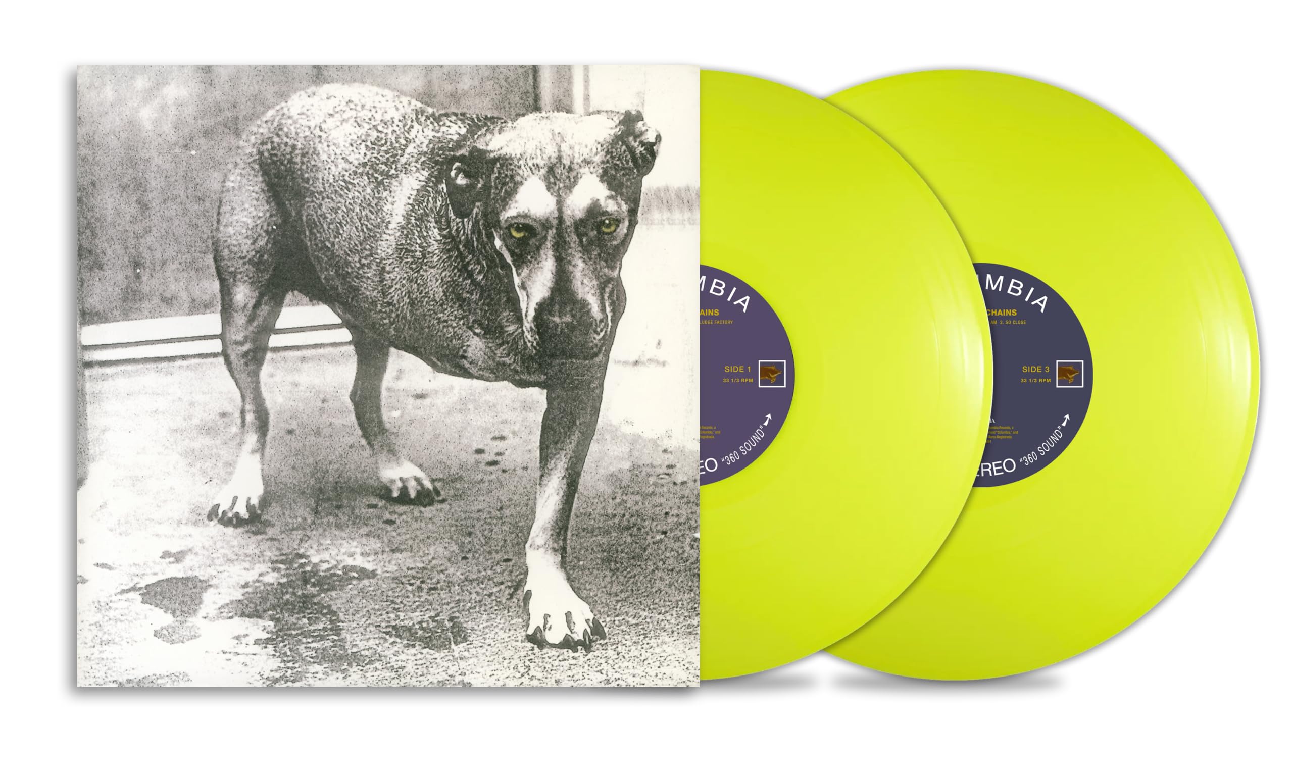 ALICE IN CHAINS - Alice In Chains (30th Anniversary Edition) - Vinyl (2xLP)