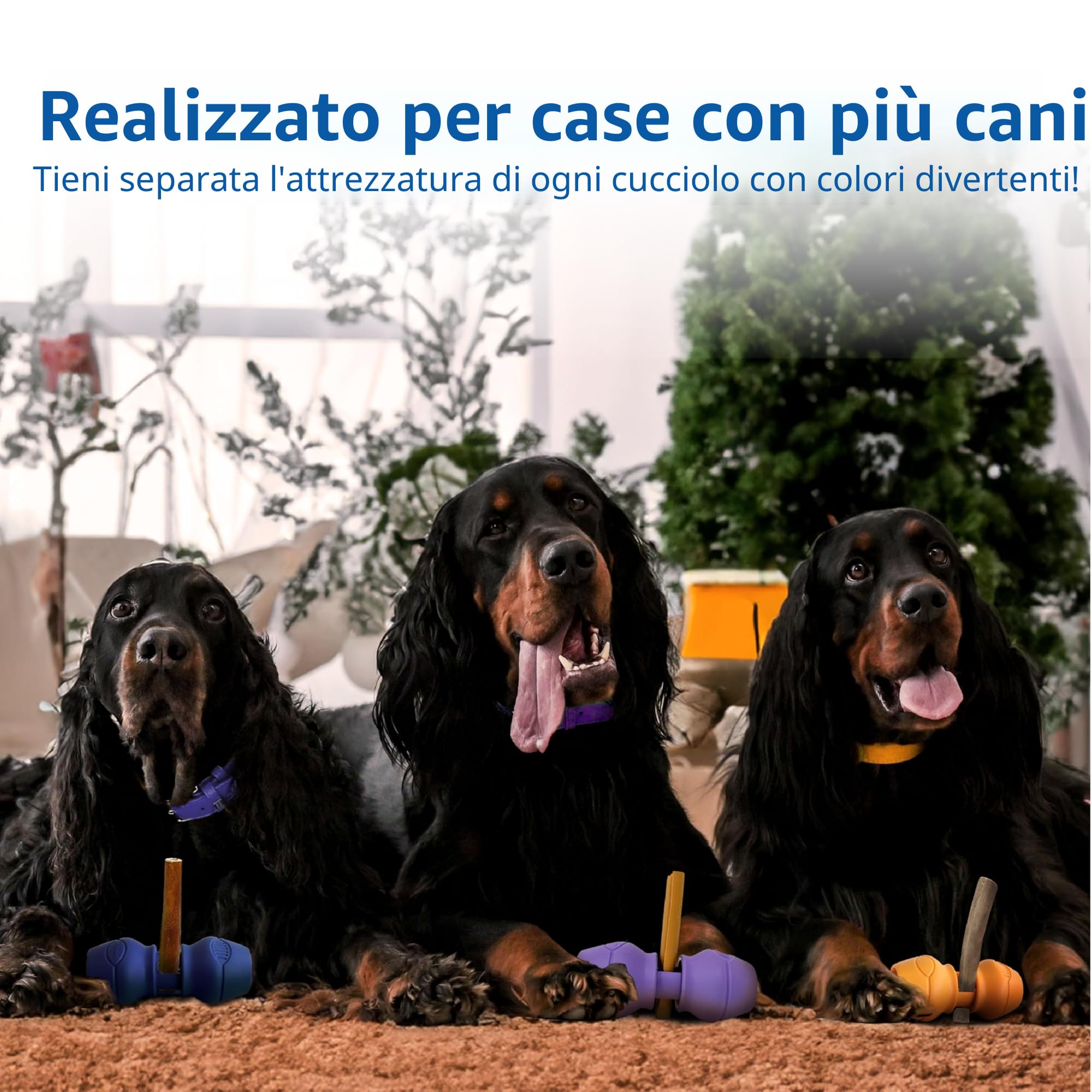 Chewise Supporto per Bastoncini da Masticare per Cani, versione migliorata, resistente e sicuro, dispositivo BPA-free per prevenire il soffocamento, compatibile con vari bastoncini e taglie di cani