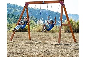 Dolphin DIY Simple Swing Set for Backyard, Wooden Swing Set with 3 Swings
