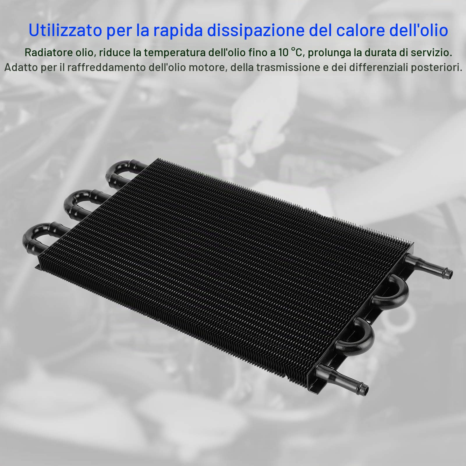 Radiatore olio motore, trasmissione a 6 file Kit radiatore olio motore Radiatore raffreddamento remoto universale in alluminio