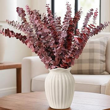 18 Pcs Dried Red Eucalyptus Stems 17" Preserved Fall Eucalyptus Bouquet, Rustic Autumn Floral Stems for Vase Display, Wedding Decor, Thanksgiving Centerpieces, Home Decoration & DIY Arrangements