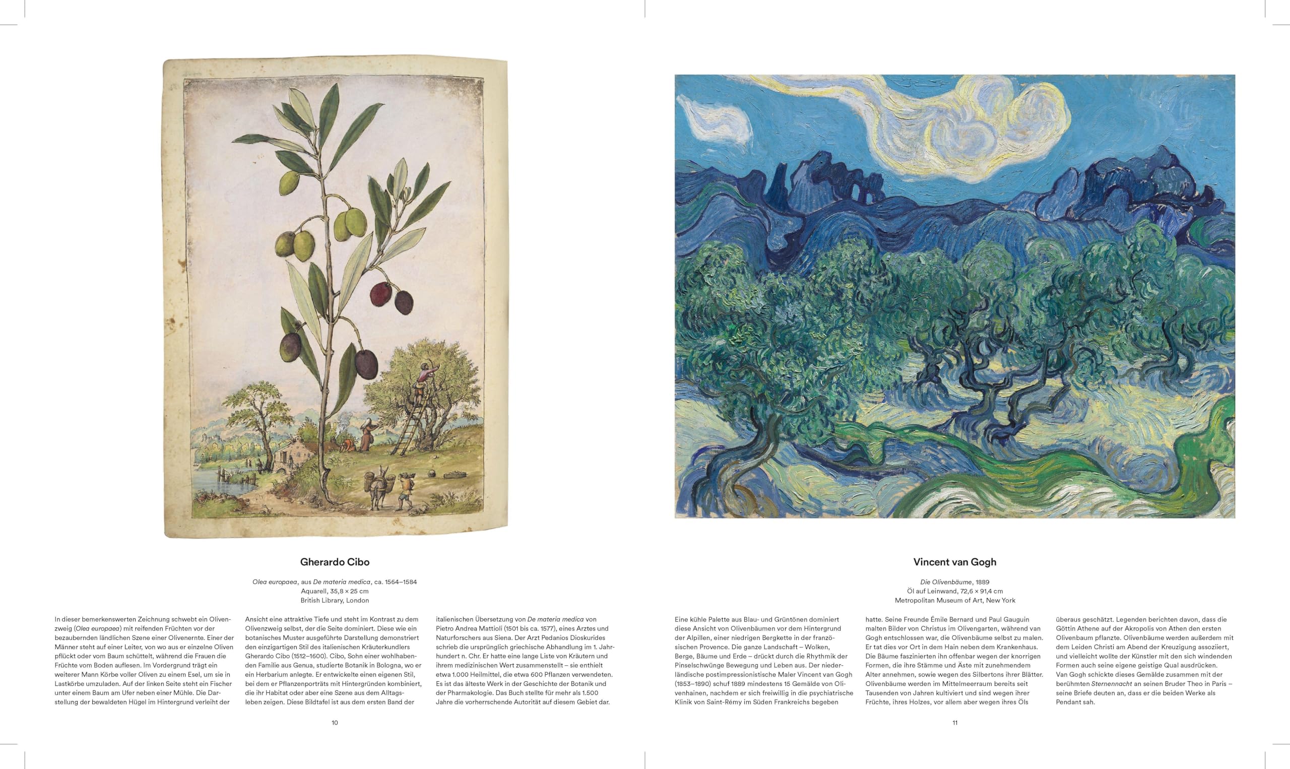 BÄUME - Der Atem der Welt: Kultur, Geschichte, Kunst: Kultur, Geschichte, Kunst. Coffee-table book: Die Magie der Bäume. Bildband mit über 300 Bildern ... Ideales Geschenk für Naturfreunde