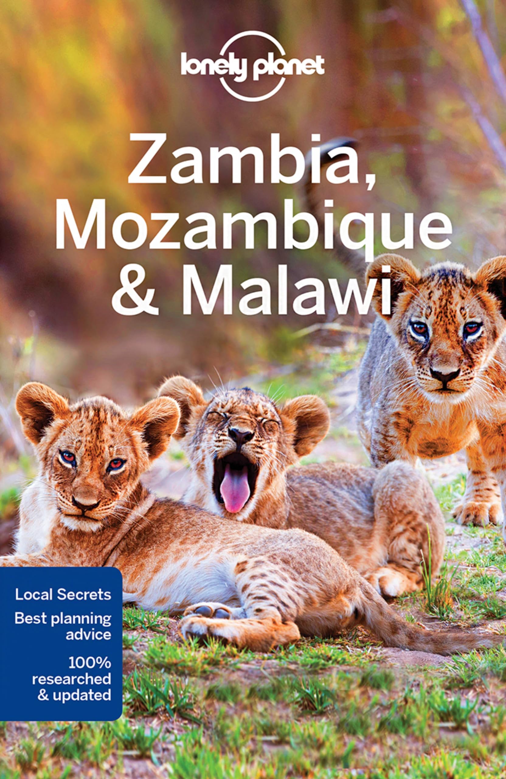 Lonely Planet Zambia, Mozambique & Malawi (Travel Guide) Paperback – September 19, 2017