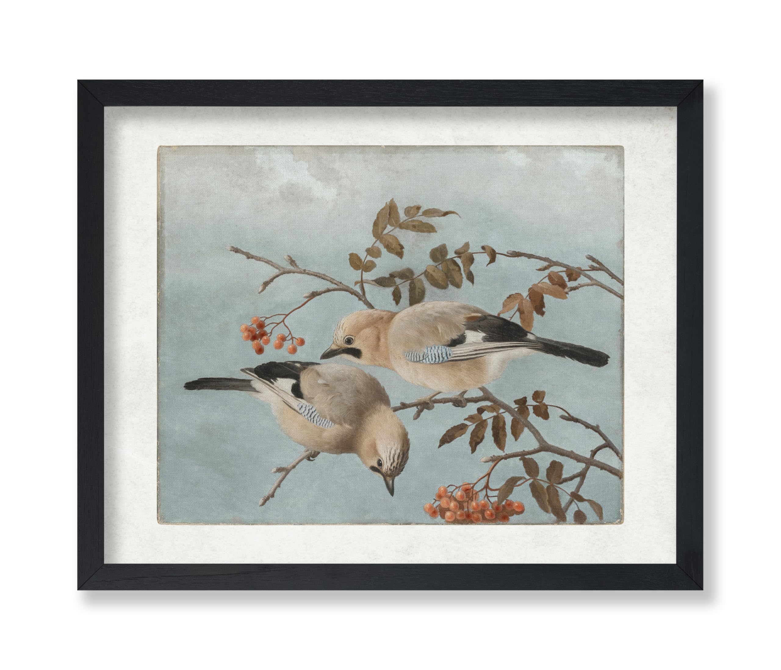 Monem Art Vintage Jays Painting Poster - Retro Birds and Berries Print - Fine Art - Bird Art