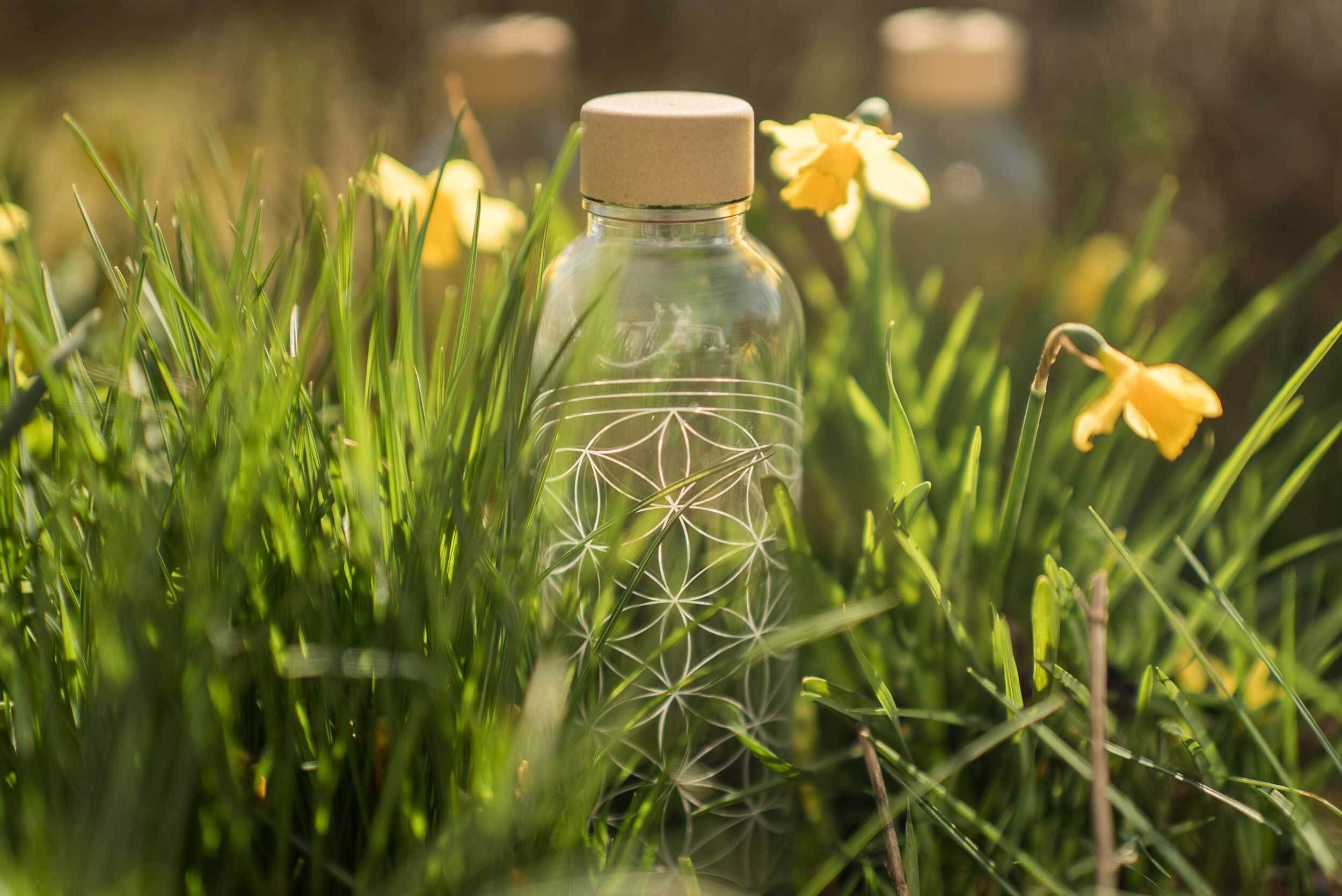 Carry Carrybottles - Borraccia in vetro da 0,7 l (Pure), senza BPA, a tenuta stagna e gassata, made in Germany