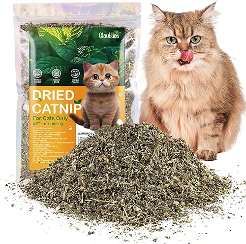 Herbe à Chat Séchée, 50g Menthe a Chat Naturelle de