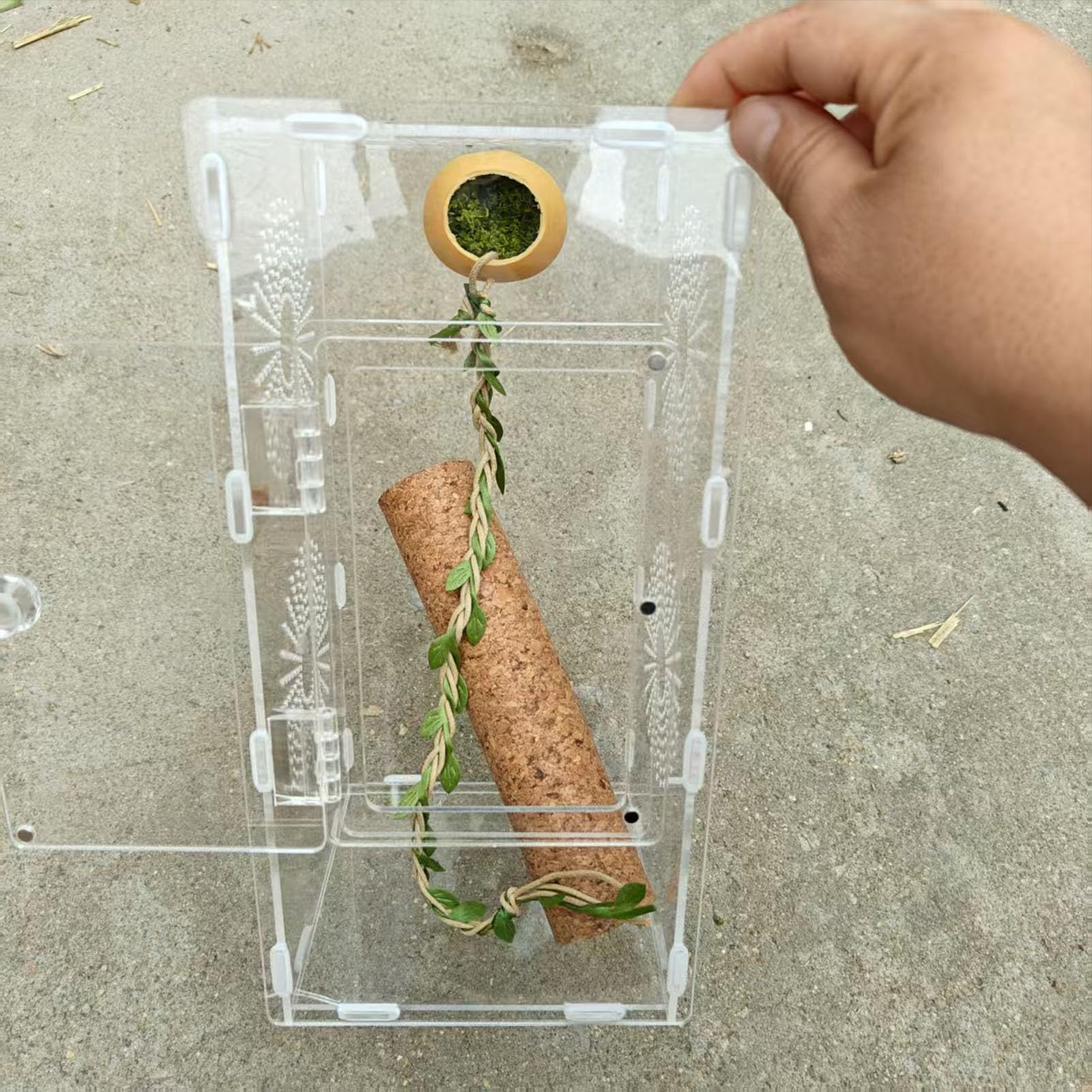 View 6
