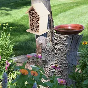 Casa de Insetos de Madeira Bee Hotel, Caixa de Nidificação de Madeira Paulownia Com Canais Tubulares, 4,9 X 3,5 X 2,8 pol. Um Suspenso Ao Ar Livre para Insetos