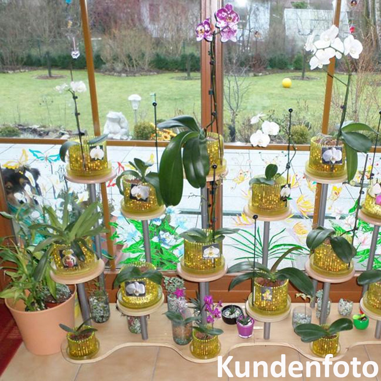 Vasi per orchidee con fori d'aria Fioriera Cymbidium Vaso da fiori in plastica a va alta Eccellente drenaggio K da giardino Doppio strato Durevole  15