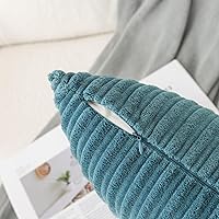 Vista 341 de UGASA - Juego de 2 fundas de almohada de terciopelo a rayas, funda decorativa para cojín con cremallera oculta para el hogar, sofá, dormitorio