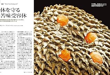 日経サイエンス2016年5月号 |本 | 通販 | Amazon