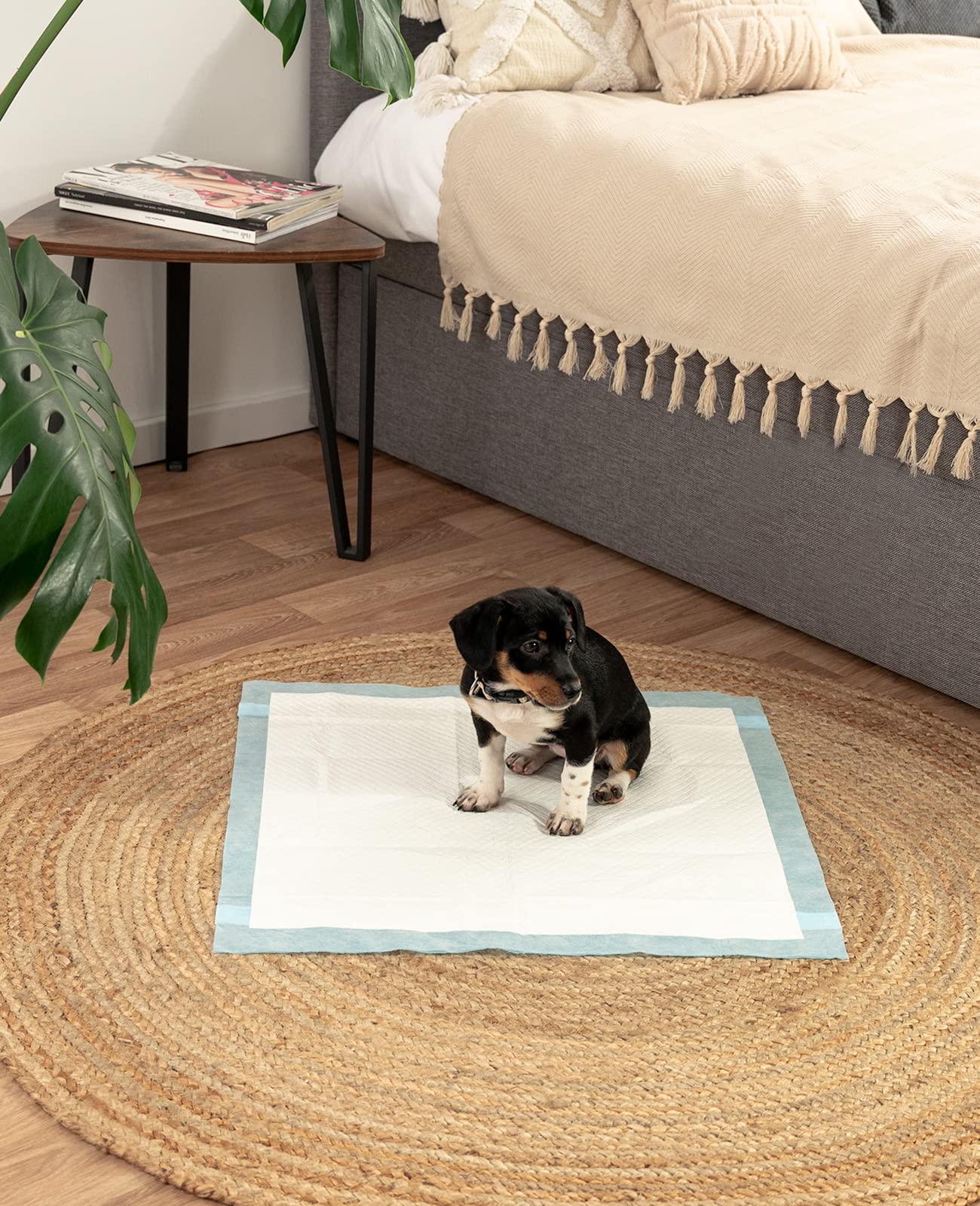lionto Puppy pads koolstofvezel, 6-laags trainingsmatten met kleefstrips voor honden, 100 stuks van 60x60 cm, lekvrij & duurzaam, hoge absorptie voorzieke & incontinentie dieren, zwart/wit