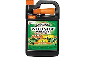 Ortho Weed B Gon Plus Crabgrass Control Ready-to-Use Wand 1-Gallon