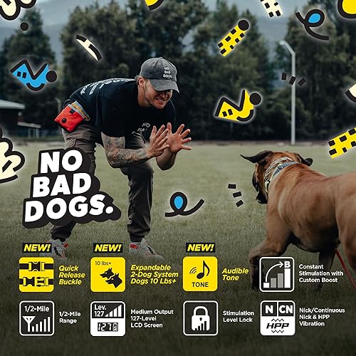 Miniatura 3 de Dogtra E-Collar Tom Davis 280C 2.0 Edición 2025, Boost & Lock, impermeable, collar de entrenamiento para perros de 12 milla con control remoto,