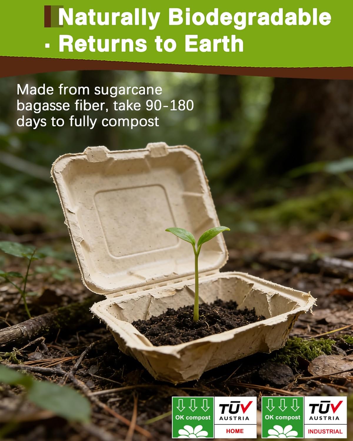 125 Pack 8x8 Inch Compostable Clamshell Containers, Biodegradable To Go Boxes – Heavy Duty Sugarcane Food Containers for Restaurant, Catering, Meal Prep