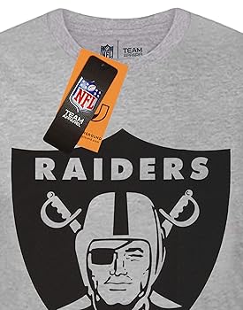【美品】NFL TEAM APPAREL スカジャン RAIDERS L NFL RAIDERS レイダース 公式 グッズ 通販- 西海岸