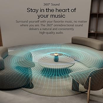 Amazon.com: LG XO2TBK XBOOM 360 Wireless Speaker with