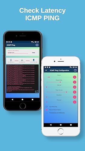 PING: Network Tool (ICMP) - Check Connectivity