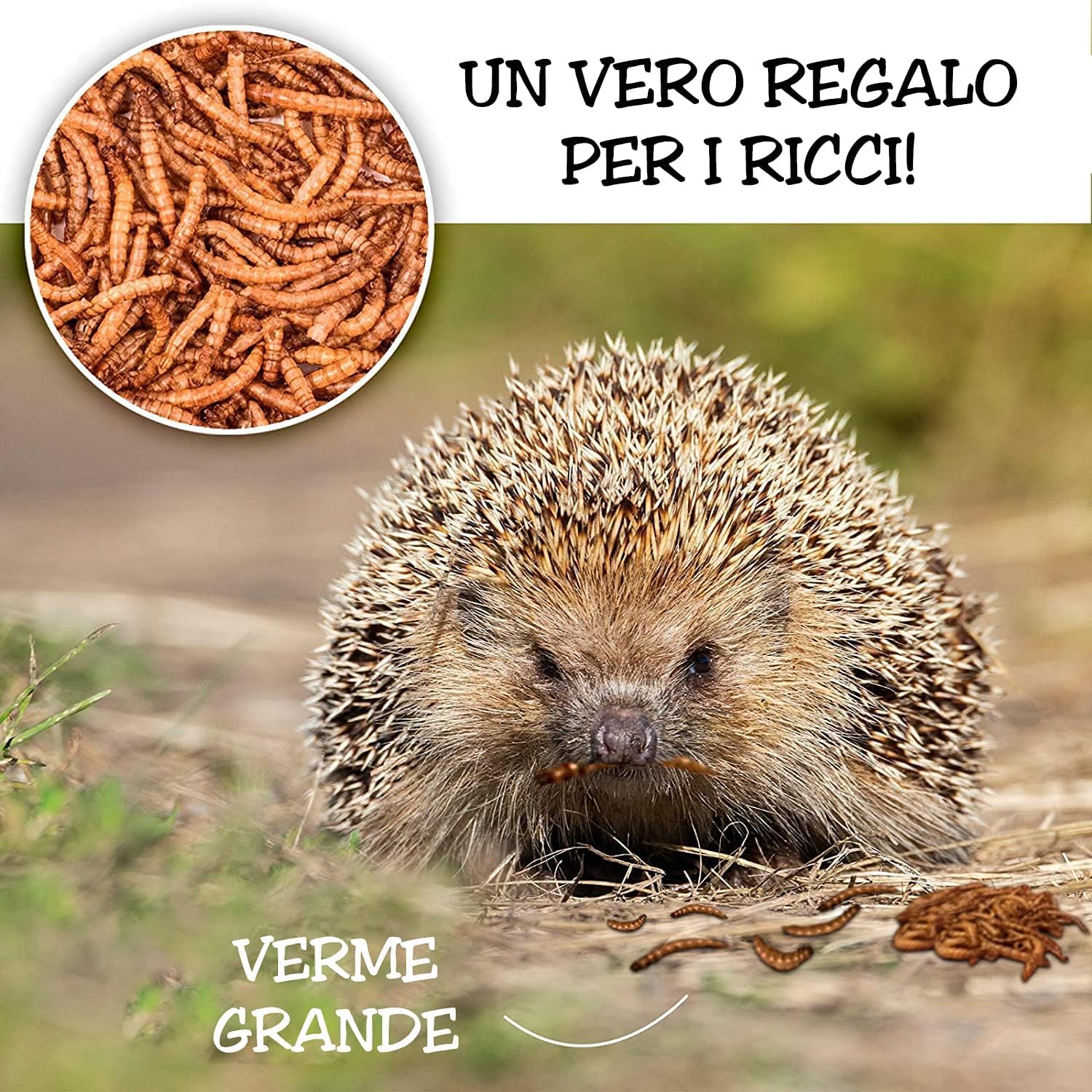 Detox Organica Camole della Farina Essiccate 160gr 1000ml Mangime per Uccelli Selvatici, Pesci, Tartarughe, Roditori, Rettili